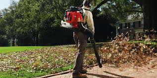 Bush Trimming